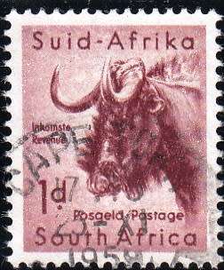 UNION OF S.A. 1959: DEFINITIVE ISSUE 1d WILDEBEEST USED (SACC 170)