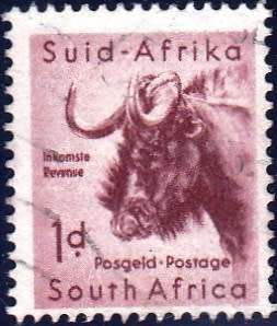 UNION OF S.A. 1954: DEFINITIVE ISSUE 1d WILDEBEEST USED (SACC 151)