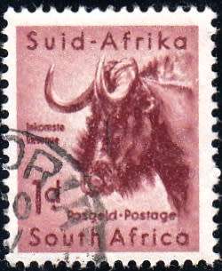UNION OF S.A. 1959: DEFINITIVE ISSUE 1d WILDEBEEST USED (SACC 170)