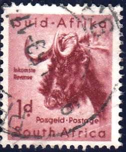 UNION OF S.A. 1959: DEFINITIVE ISSUE 1d WILDEBEEST USED (SACC 170)