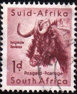 UNION OF S.A. 1959: DEFINITIVE ISSUE 1d WILDEBEEST USED (SACC 170)