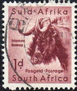 UNION OF S.A. 1959: DEFINITIVE ISSUE 1d WILDEBEEST USED (SACC 170)