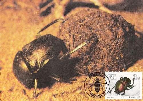 SWA 1987: POSTCARD#50-53 - USEFULL INSECTS - SET OF 4 - UNUSED CTO
