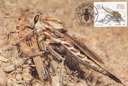SWA 1987: POSTCARD#50-53 - USEFULL INSECTS - SET OF 4 - UNUSED CTO
