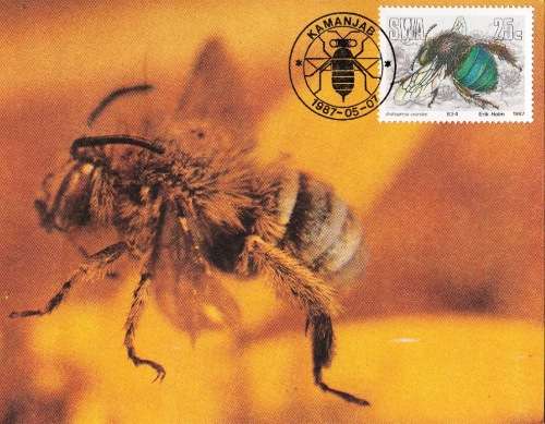 SWA 1987: POSTCARD#50-53 - USEFULL INSECTS - SET OF 4 - UNUSED CTO