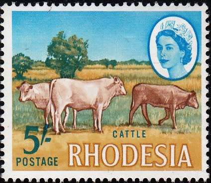 RHODESIA 1966-1970: DEFINITIVE ISSUE 5/- MNH (SACC 153) - LITHO PRINT