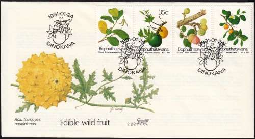 BOPHUTHATSWANA 1991: OFFICIAL FDC 2.22 - EDIBLE WILD FRUIT