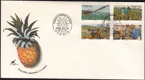 CISKEI FDC 1.3 1982: PINEAPLE GROWING IN CISKEI