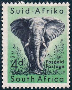 UNION 1960: DEFINITIVE ISSUE 4d ELEPHANT (ARMS WMK) MNH (SACC 172)