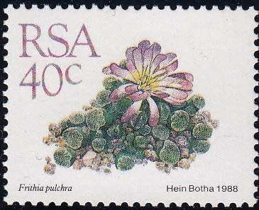 RSA 1988: 5th DEFINITIVE ISSUE 40c MNH (SACC 678)
