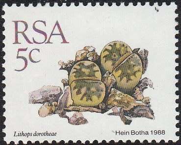 RSA 1988: 5th DEFINITIVE ISSUE 5c MNH (SACC 670)