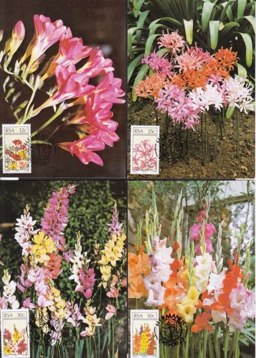RSA POST CARDS 1985: S.A. FLORAL EMIGRANTS FULL SET OF FOUR UNUSED CTO