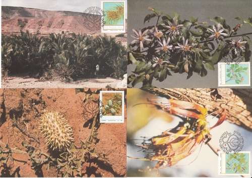 VENDA POSTCARDS#54-57 1987: FOOD FROM THE VELD SET OF 4 CTO