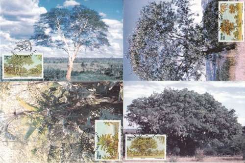 VENDA 1991: POSTCARD #98-101  INDIGENOUS TREES SET OF 4 CTO (SACC 230-233)
