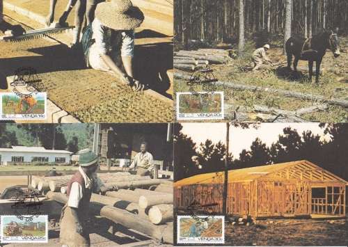 VENDA POSTCARD #34-37 1986: FORESTRY SET OF 4 CTO (SACC 143-146)