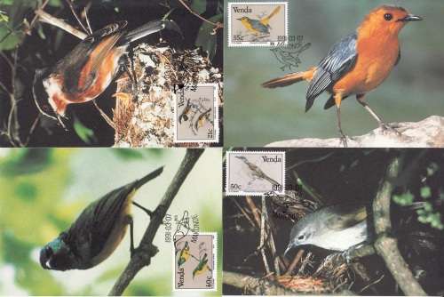 VENDA 1990: POSTCARD #94-97  BIRDS OF VENDA SET OF 4 CTO (SACC 218-221)