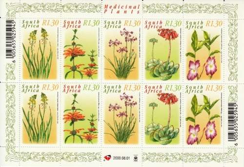 RSA 2000: MEDICINAL PLANTS FULL SHEET OF 10 MNH (SACC 1270-4)
