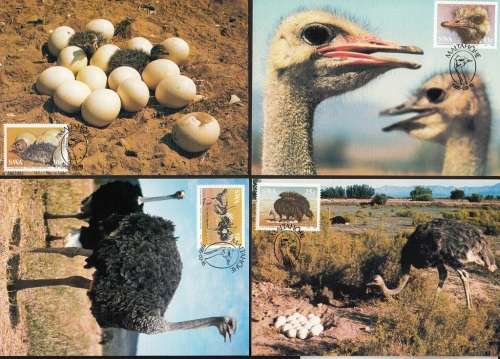 SWA 1985: POSTCARD#14-17  THE OSTRICH CTO