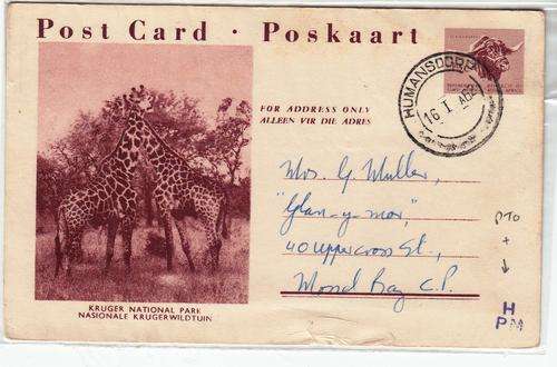 RSA POST CARD 1962: KRUGER PARK USED: HUMANSDORP CANCEL
