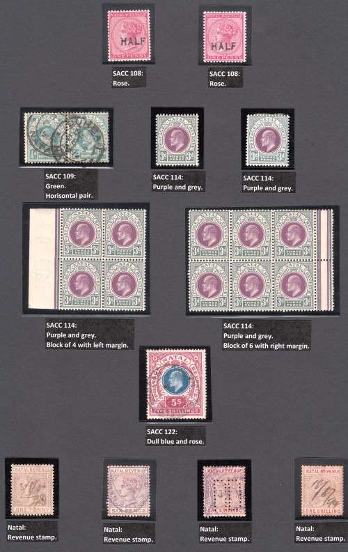 NATAL COLLECTION 1859-1909 BEAUTIFULLY LABELLED, MAINLY USED
