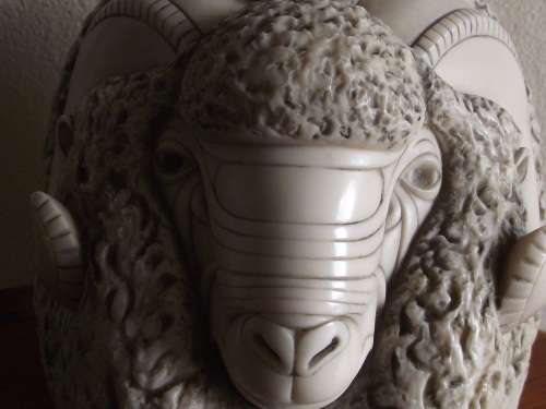JOHN BICCARD RAMS HEAD
