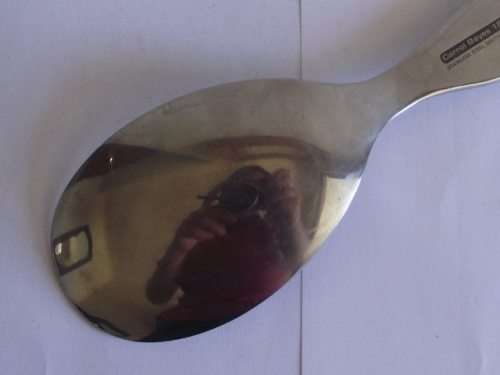 BEAUTIFUL CARROL BOYES 18/8 STAINLESS STEEL SERVING SPOON - WASADI