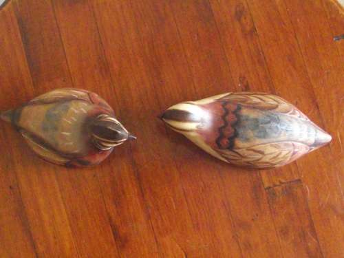 PAIR OF MALE AND FEMALE HARLEQUIN QUAIL'S FEATHERS OF KNYSNA