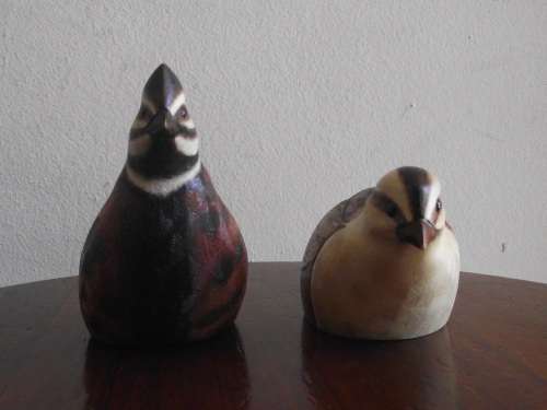 PAIR OF MALE AND FEMALE HARLEQUIN QUAIL'S FEATHERS OF KNYSNA