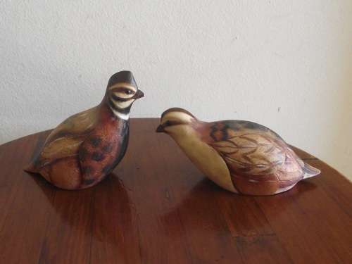 PAIR OF MALE AND FEMALE HARLEQUIN QUAIL'S FEATHERS OF KNYSNA