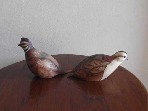 PAIR OF MALE AND FEMALE HARLEQUIN QUAIL'S FEATHERS OF KNYSNA