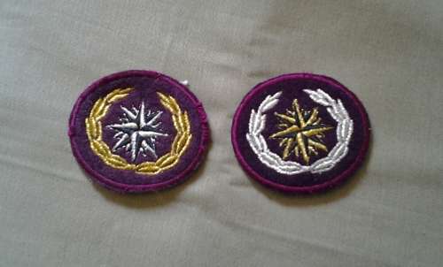 SADF. Special Forces beret badges. !!COPY!! One bid for both.