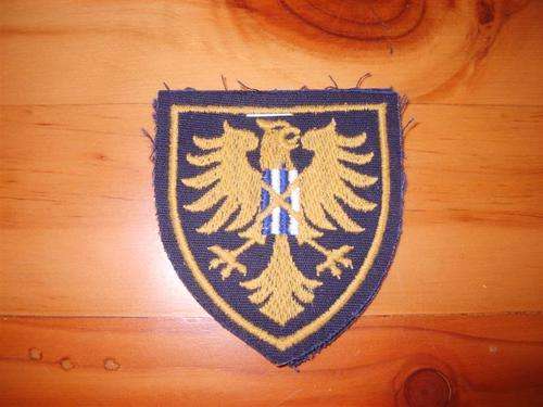 PAIR OF OLD SAP PRESIDENTS GUARD CLOTH FLASHES : UNUSED
