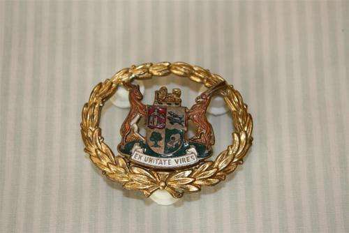 OLD SAP W.O. 1 ARM BADGE
