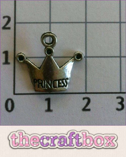 Princess Charm (10 pieces)