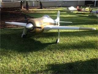 Rare Bear pilon racer plane