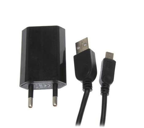 Blackberry Charger with Sync Cable
