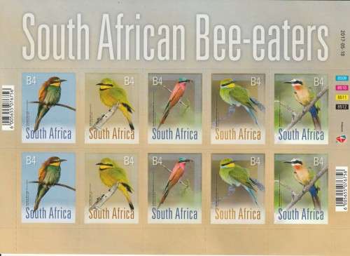 South African Bee-eaters.   MNH