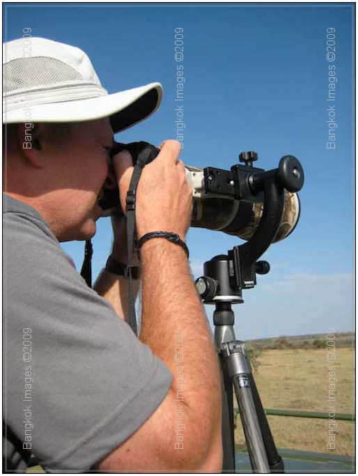 Professional Photo / Video Tripod
