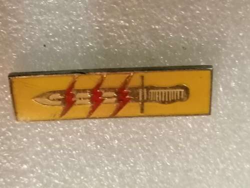61 Battalion Group Operation Participation Badge
