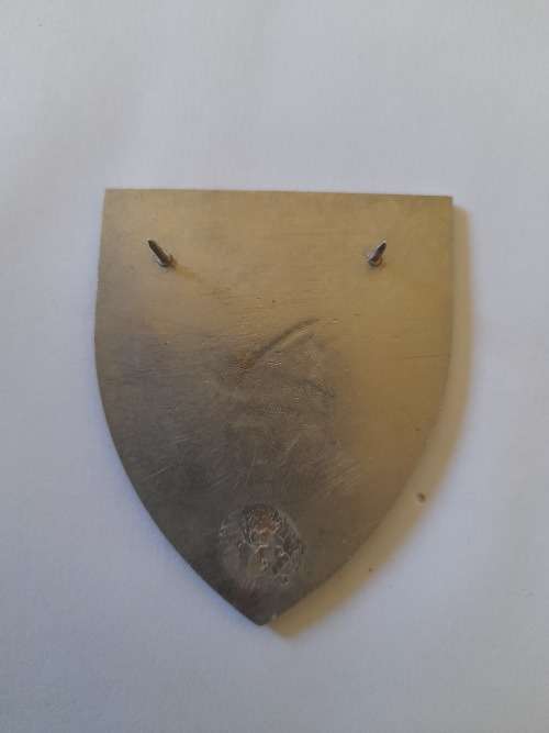 101 Battalion Romeo Mike Coy
