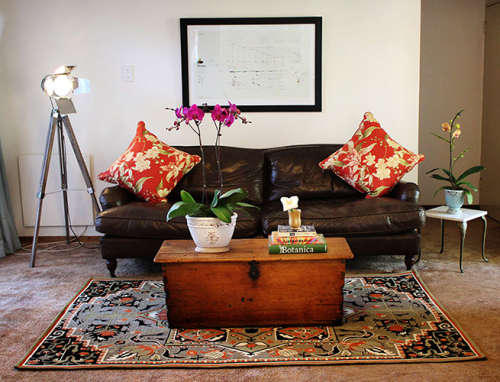 Rainbow Nation rug
