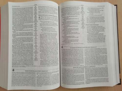 NLT Africa Study Bible