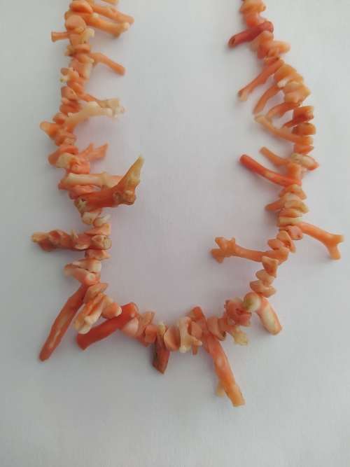 WOW! Real Coral necklace