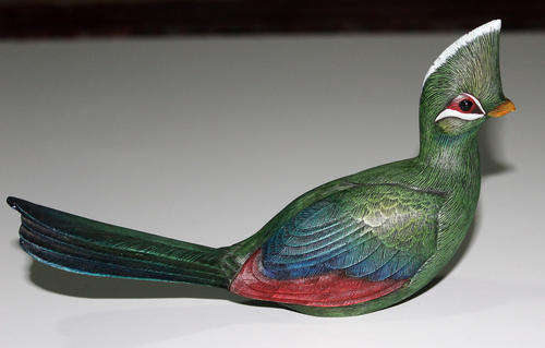 Feathers of Knysna Loerie