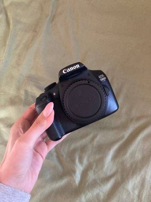Canon 1300D + 3 lenses
