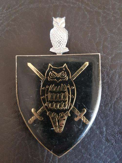SADF MILITARY INTELLIGENCE HQ FLASH AND BERET BADGE