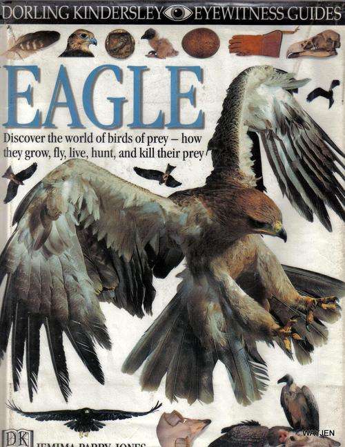 EAGLE. DISCOVER THE WORLD OF BIRDS OF PREY. BIG HARDCOVER BOOK.  AN OLD LIBRARY BOOK.