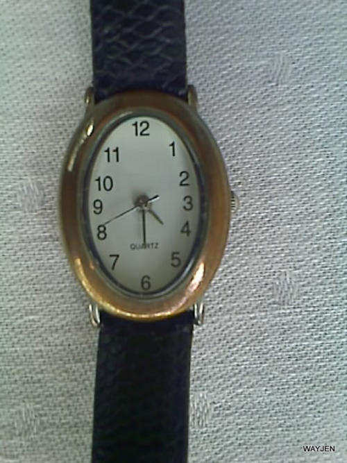 LADIES OVAL FACE QUARTZ WATCH ON STRAP. STRAP IS WORN BUT WATCH IS WORKING FINE.