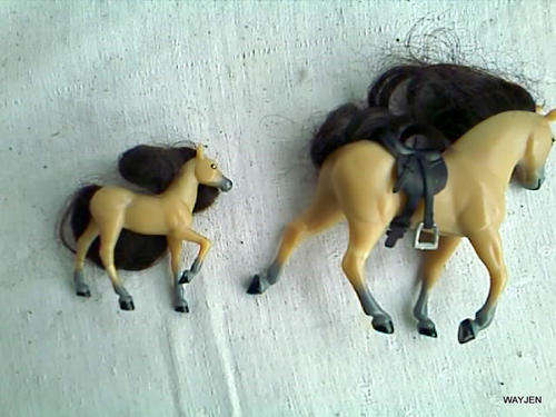 2 LOVELY SMALL HORSES.