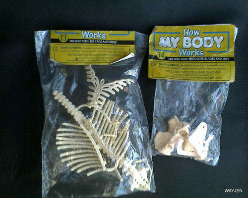 HOW MY BODY WORKS BODY PARTS. NOTE ALL PARTS.